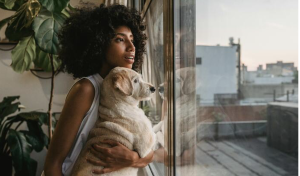  5 Simple Steps to Create a Pet-Friendly Home Interior